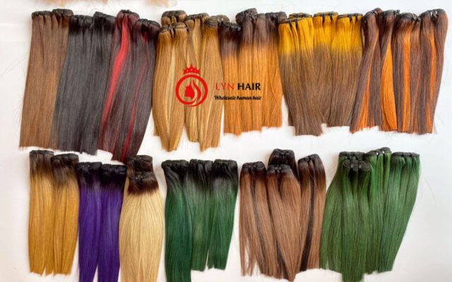 Vietnamese human hair weave colors