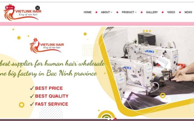 Vietlink hair – Best hair factory in vietnam