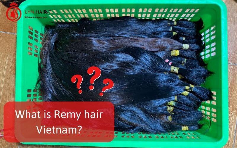 What is Remy hair Vietnam