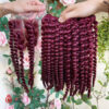 Burgundy deep curly human weft hair bundles with closure