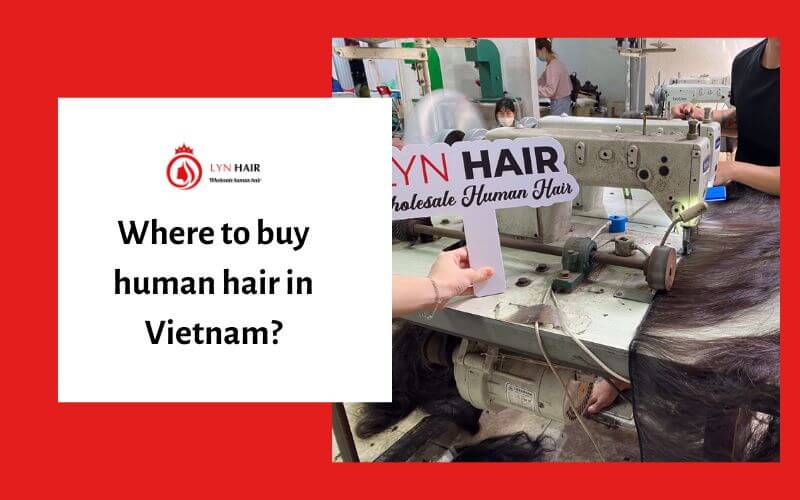 Where to buy human hair in Vietnam