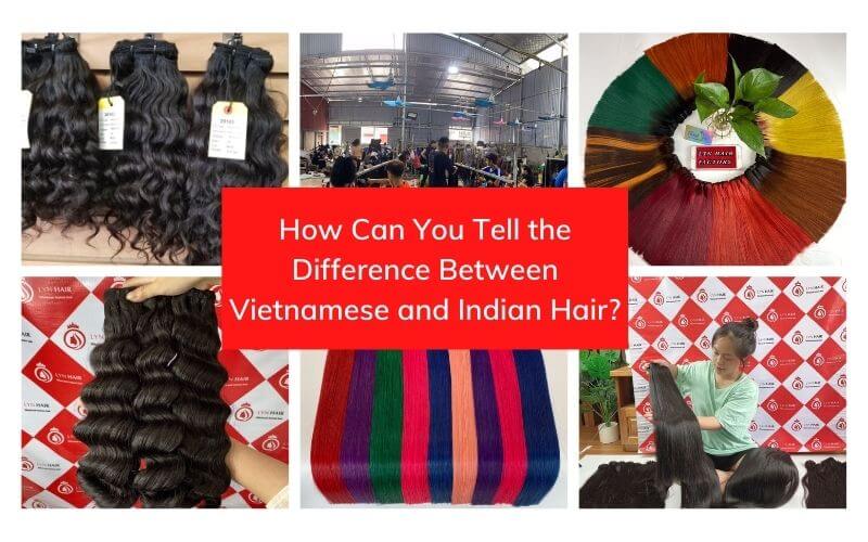 How Can You Tell the Difference Between Vietnamese and Indian Hair