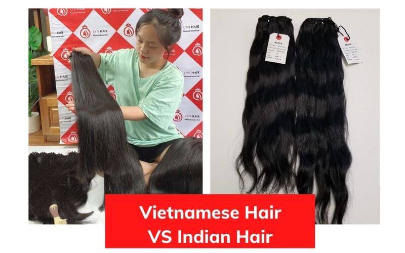 Vietnamese Hair VS Indian Hair – Details comparison Lyn Hair