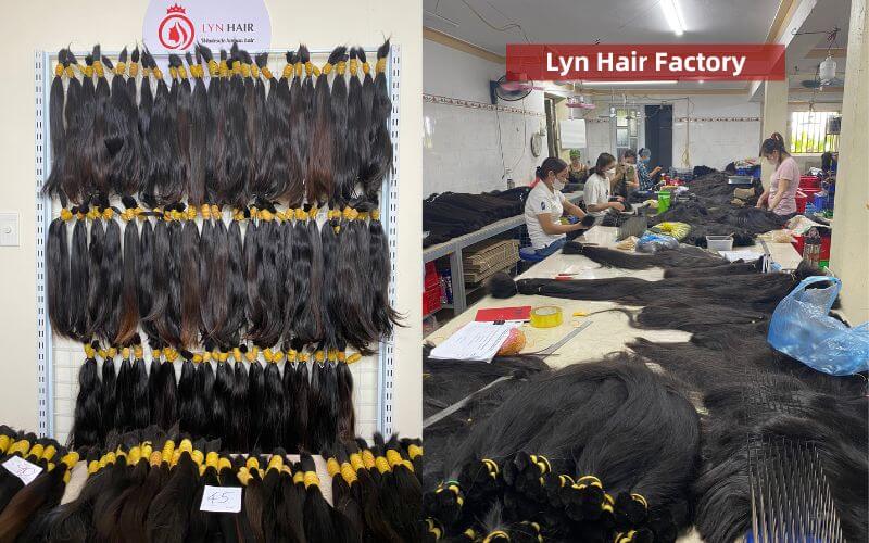 Lyn Hair – Best raw hair vendors