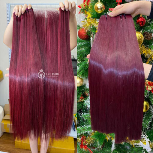 Human hair burgundy bundles with closure