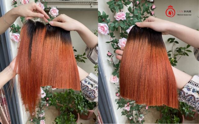 Vietnamese ombre ginger hair bundles with closure