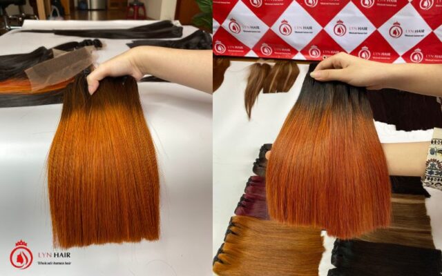 Vietnamese ombre ginger hair bundles with closure