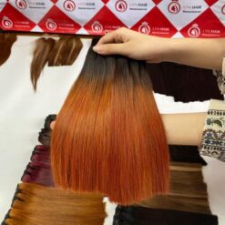 Vietnamese ombre ginger hair bundles with closure