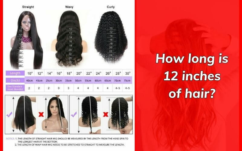 how long is 12 inches of hair