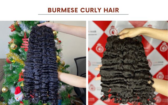 burmese curly hair