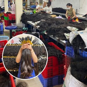 100% human hair sourced from Vietnamese donors