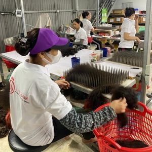 Careful sorting by texture, color, and length