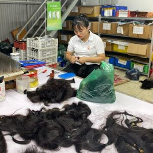 Hair SORTING