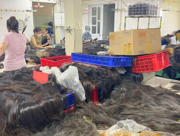 raw Vietnamese hair sorting process at factory