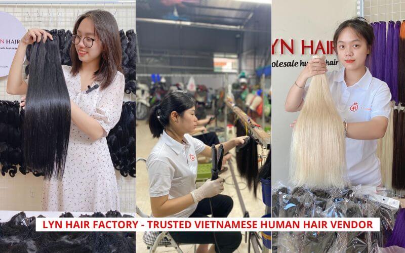 Lyn Hair – Best for Sourcing Vietnamese quality raw hair