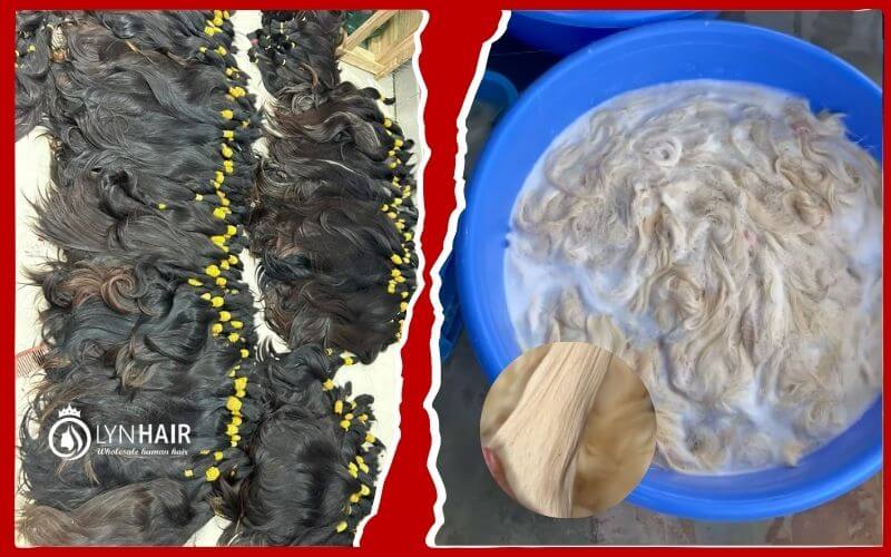 Bleaching ability of Vietnamese hair to 613 blonde compared to Cambodian hair