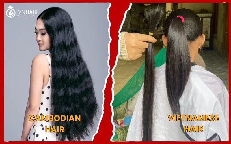 Overview Of Cambodian Hair and Vietnamese hair
