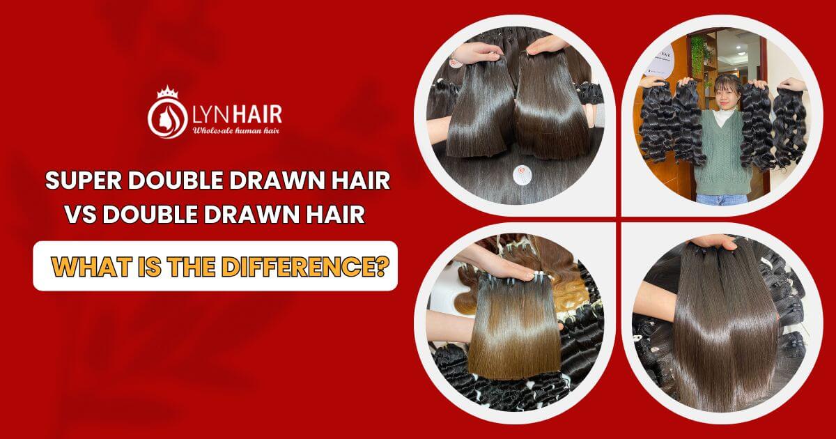 SUPER DOUBLE DRAWN HAIR VS DOUBLE DRAWN HAIR WHAT IS THE DIFFERENCE?