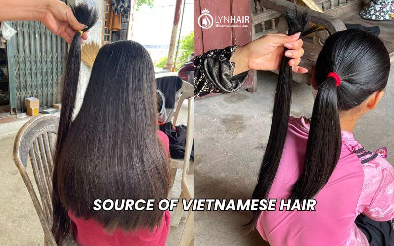 Source of Vietnamese raw single donor hair