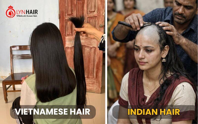 Sourcing, Origin of vietnamese hair and indian hair.jpg