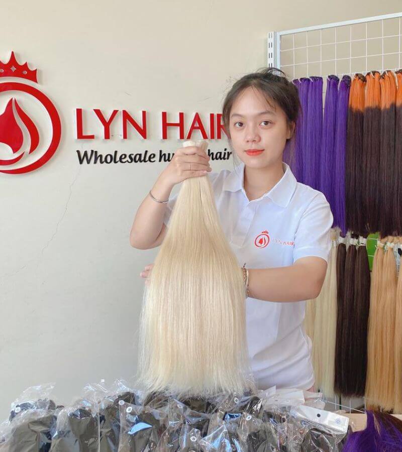 Vietnam Virgin Hair vs Raw Hair Which One is Better for Your Salon