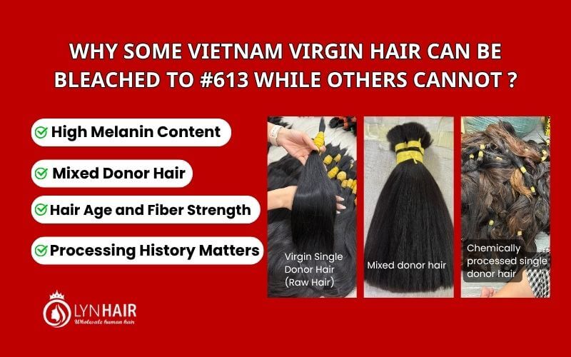 Why Some Vietnam Virgin Hair Can Be Bleached to 613 While Others Cannot .jpg